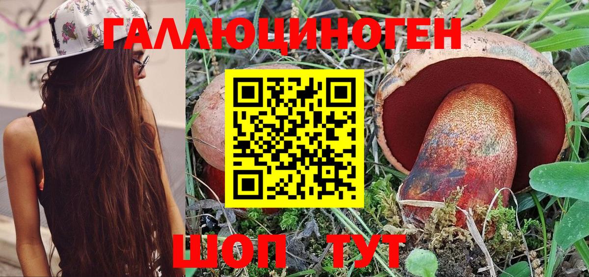 Псилоцибиновые грибы GOLDEN TEACHER  Вход с VPN  Фролово  купить наркотики сайты  Галлюциногенные грибы GOLDEN TEACHER 